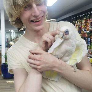 Meet your Posher, Colin